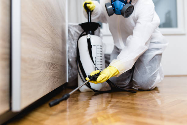 Best Pest Removal Services  in Florence, AZ
