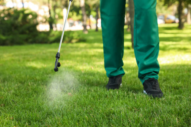 Best Commercial Pest Control Services  in Florence, AZ